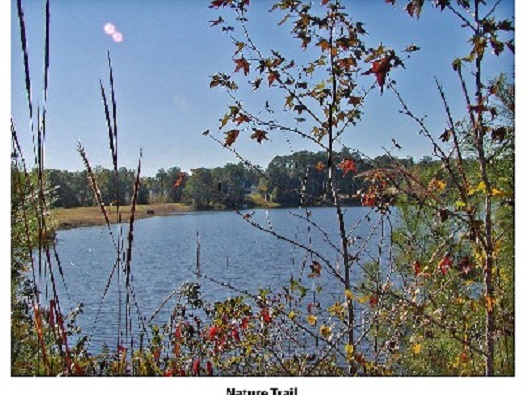 Nature Trails Nature Trails