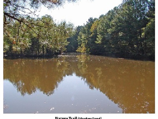 Nature Trails Nature Trails