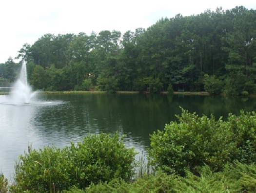 Picnic Tables and Benches Picnic Tables and Benches